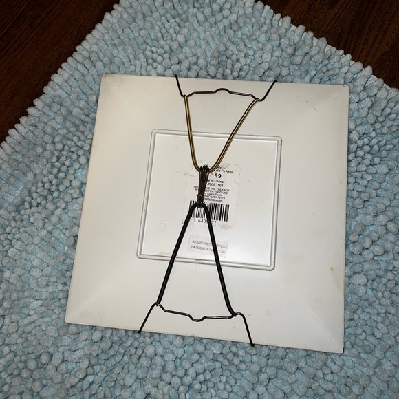 ⭐️Outdoor Living Bird Art Print Square Plate Decor Hobby Lobby - Picture 4 of 7